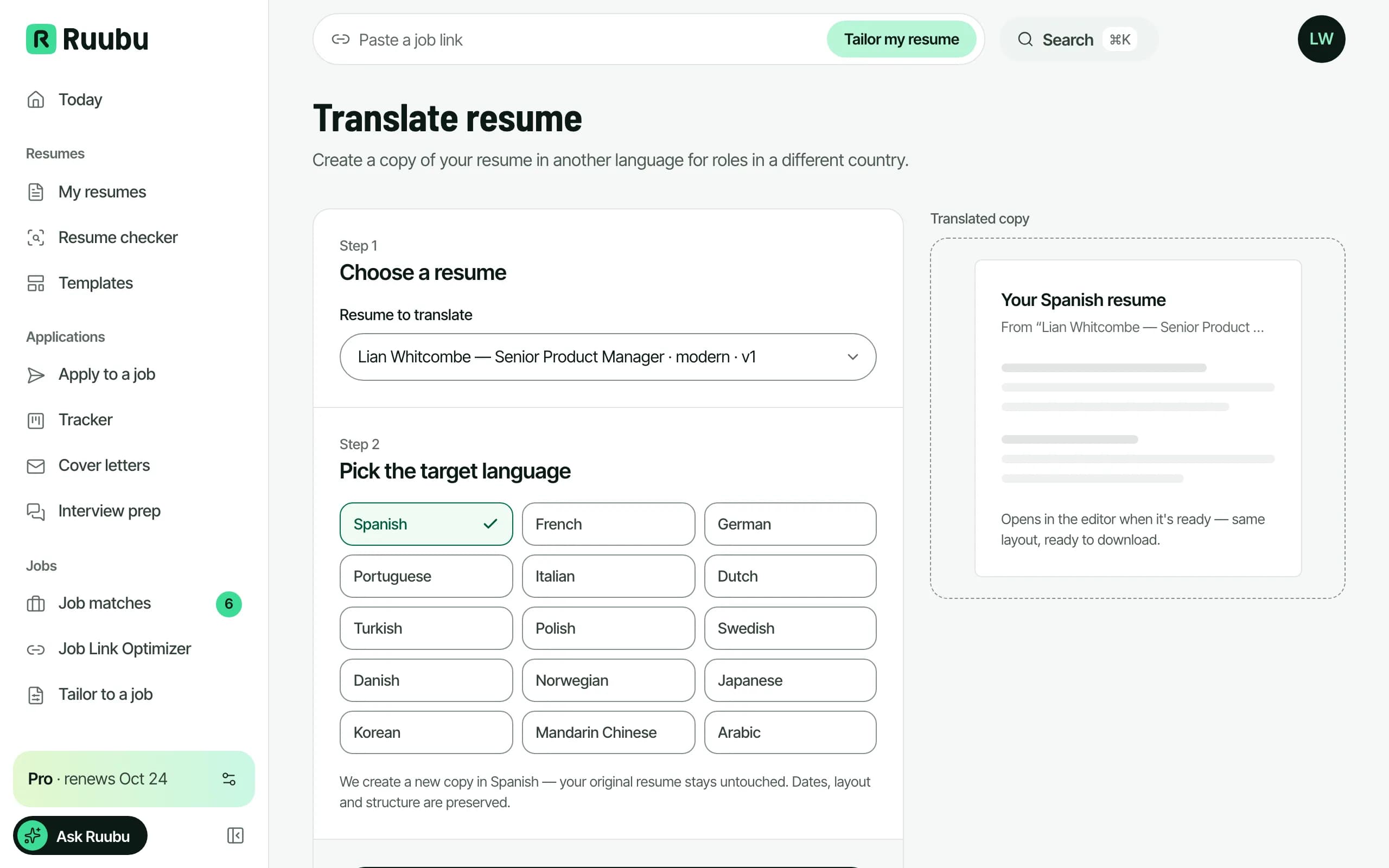 A resume translated into another market's language with formatting kept intact and localized phrasing