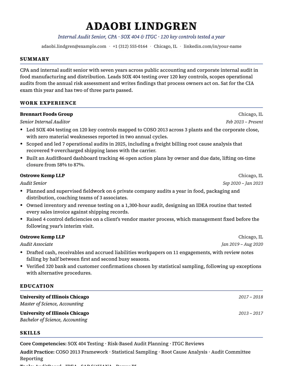 Auditor sample resume in the Charter template