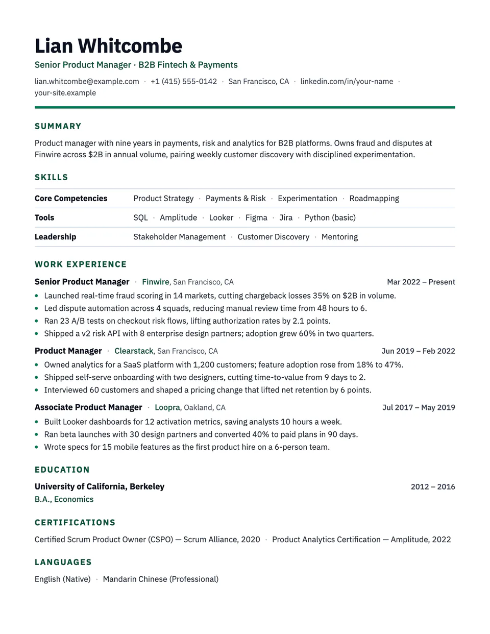 Preview of the Strata resume template